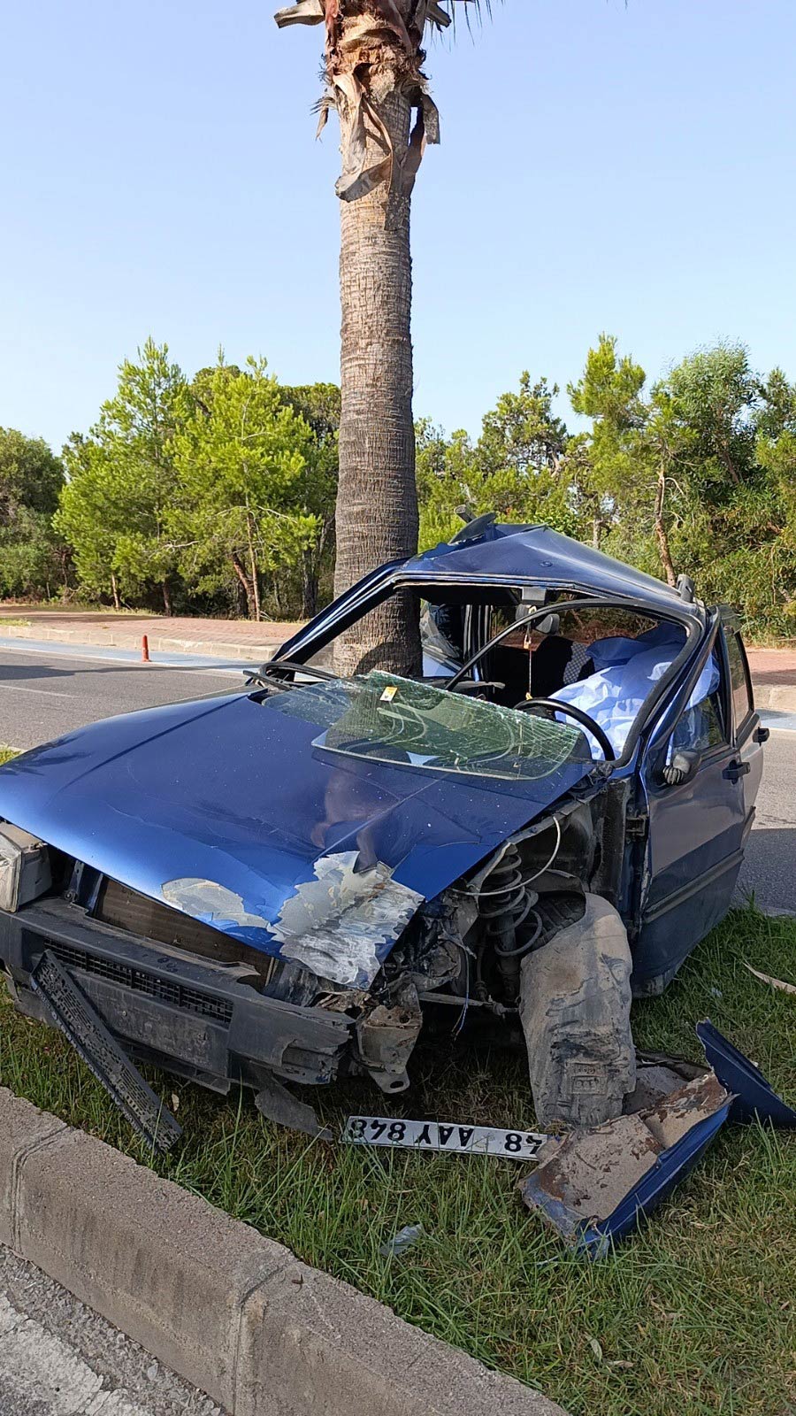  Antalya'nın Manavgat İlçesinde Otomobilin Palmiyeye Çarpması Sonucu Meydana Gelen Kazada : 1 Ölü