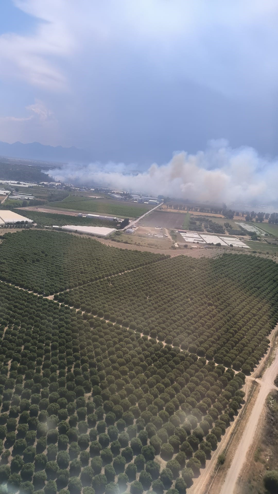 Antalyanın Aksu İlçesinde Orman Yangı 