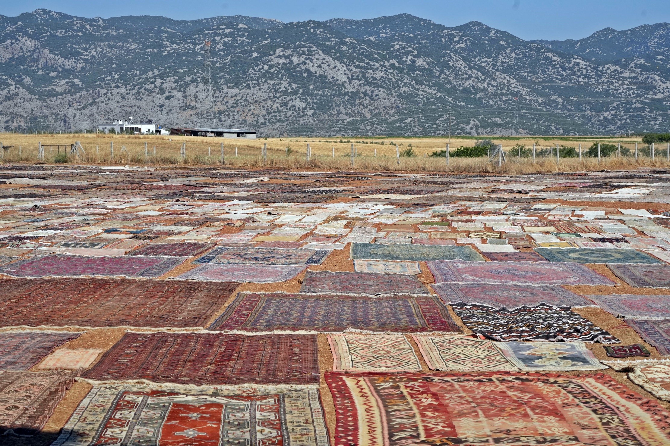 Antalya'da Türkiye'nin Dört Bir Yanından Toplanan El dokuması Halı ve Kilim ABD'deki Halı Meraklısını İnsanlatın Gözdesi Oldu 