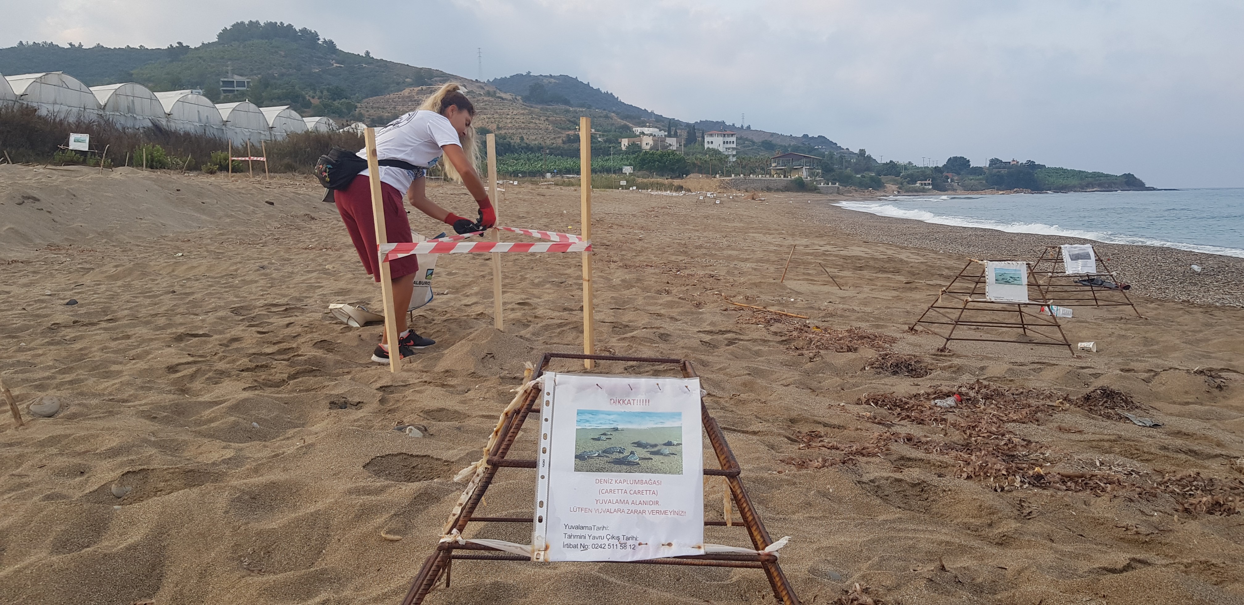 Alanya'da caretta caretta yuvaları koruma altında