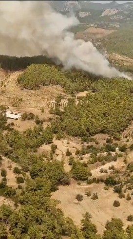  Antalya'nın Serik ilçesinde orman yangını