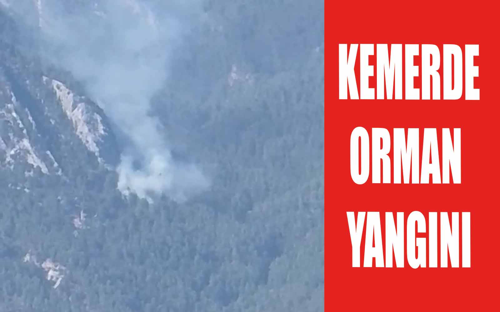 Antalyanın kemer ilçesinde orman yangını 