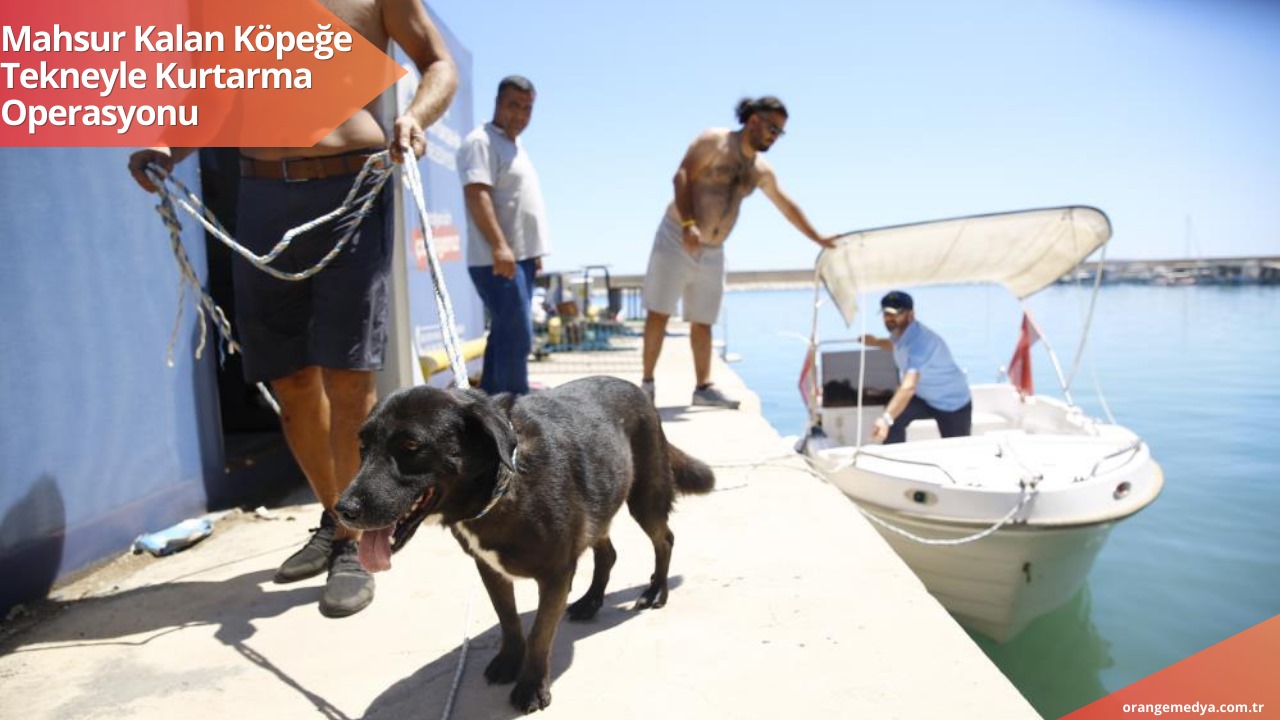 Mahsur Kalan Köpeğe Tekneyle Kurtarma Operasyonu