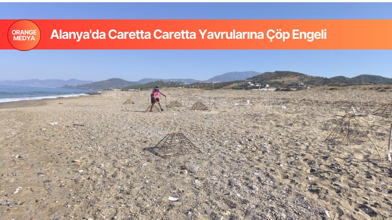 Alanya'da Caretta Caretta Yavrularına Çöp Engeli