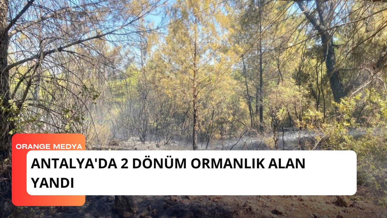 Antalya'da 2 dönüm ormanlık alan yandı