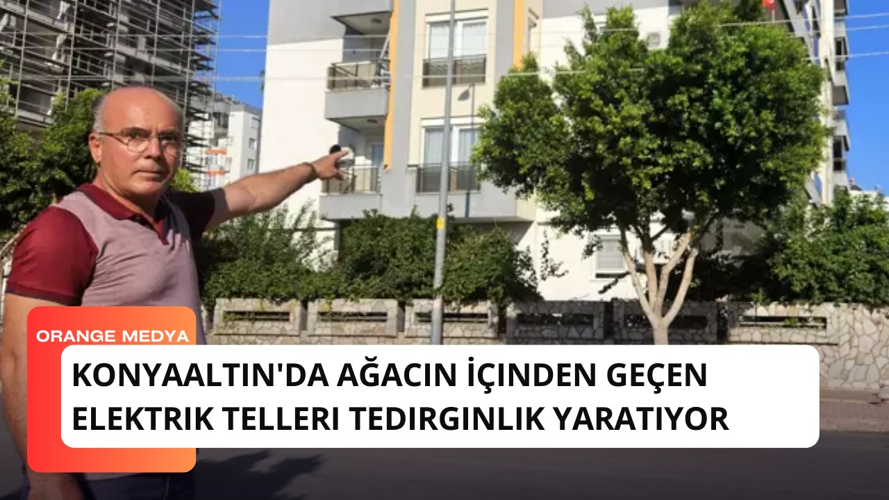 Konyaaltın'da Ağacın İçinden Geçen Elektrik Telleri Tedirginlik Yaratıyor