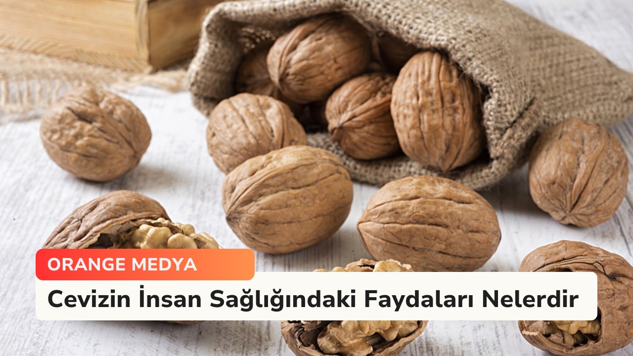 Cevizin İnsan Sağlığındaki Faydaları Nelerdir 