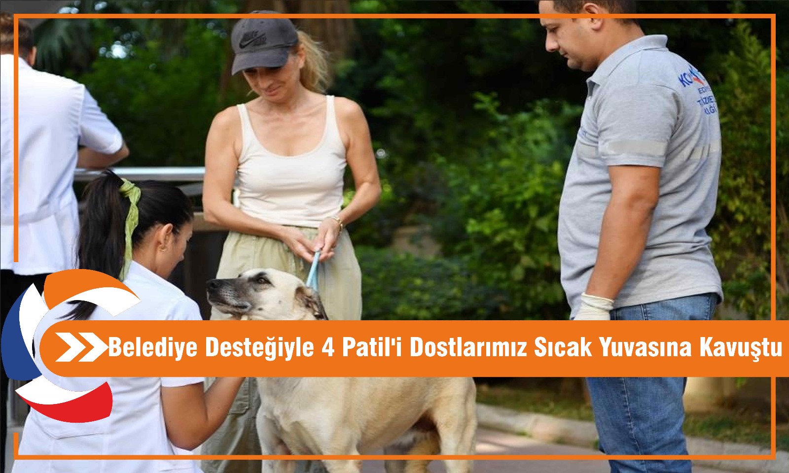 Belediye Desteğiyle 4 Patil'i Dostlarımız Sıcak Yuvasına Kavuştu