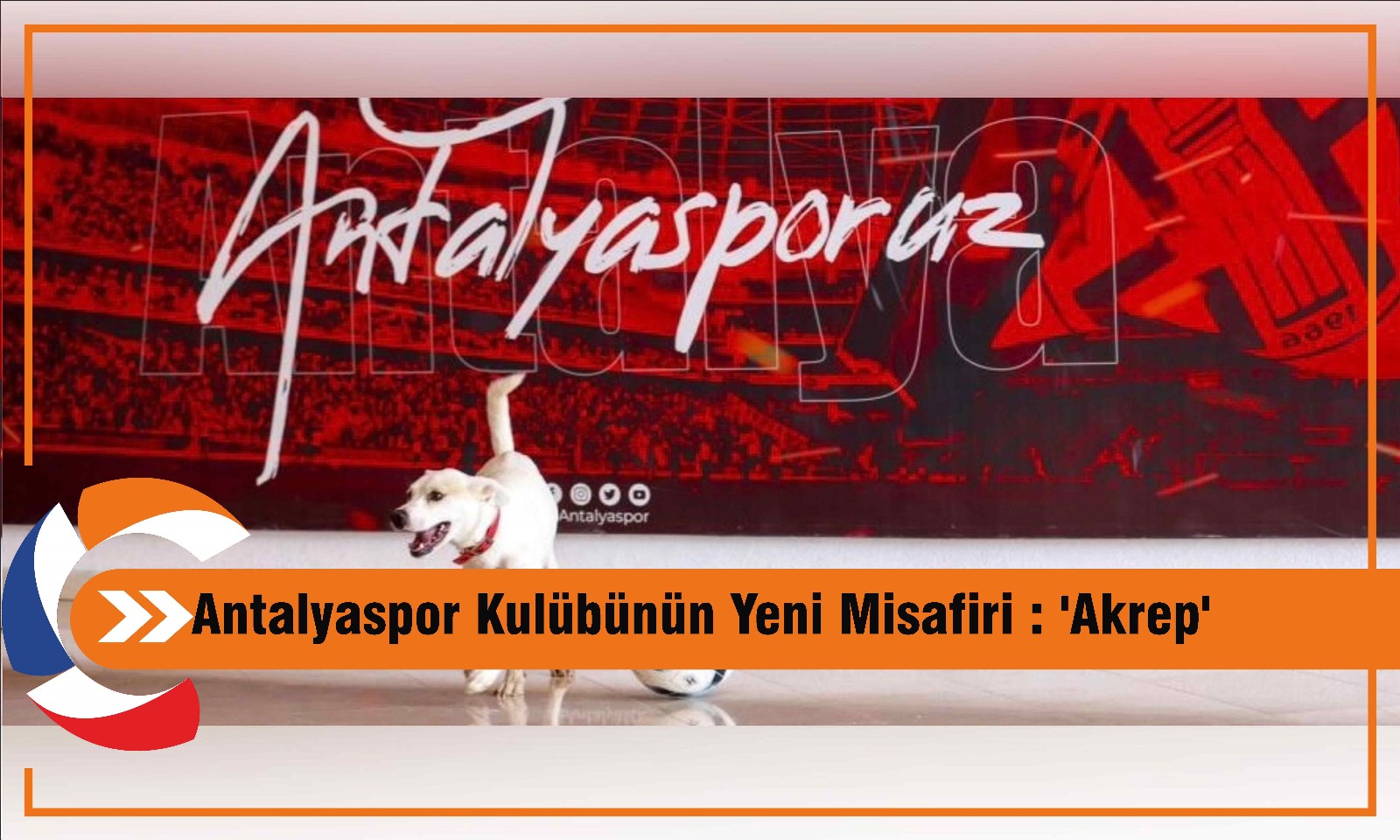 Antalyaspor Kulübünün Yeni Misafiri : 'Akrep'