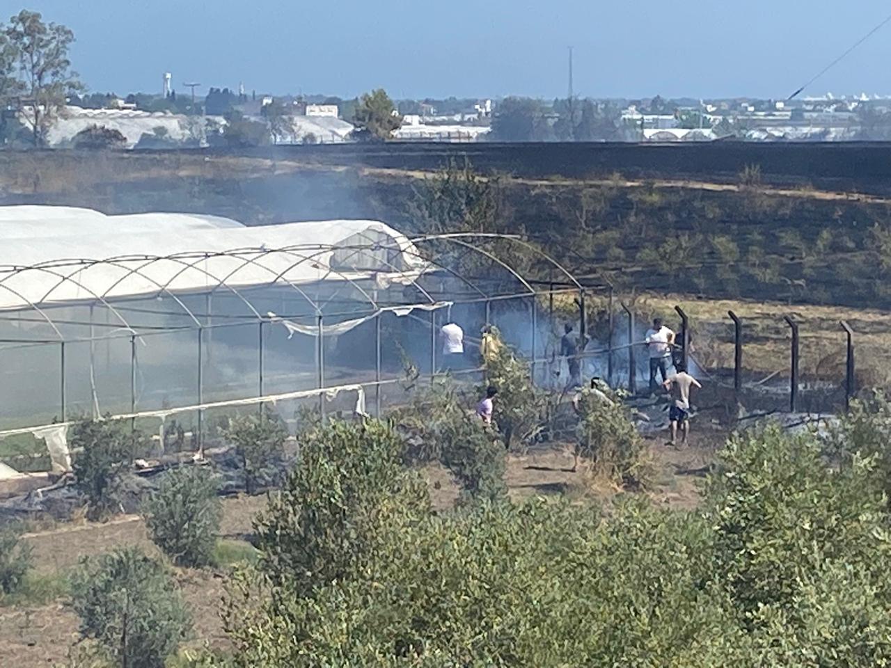 Antalya'nın Serik ilçesinde Korkutan Yangında Seralar Zarar Gördü