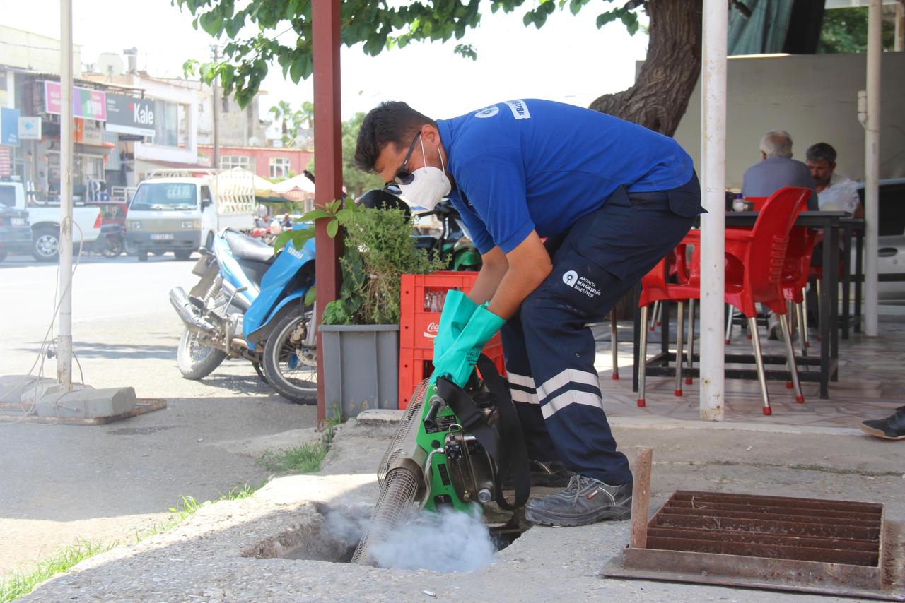 Antalya Büyükşehir Belediyesinin Haşere İlaçlamaları Devam Ediyor