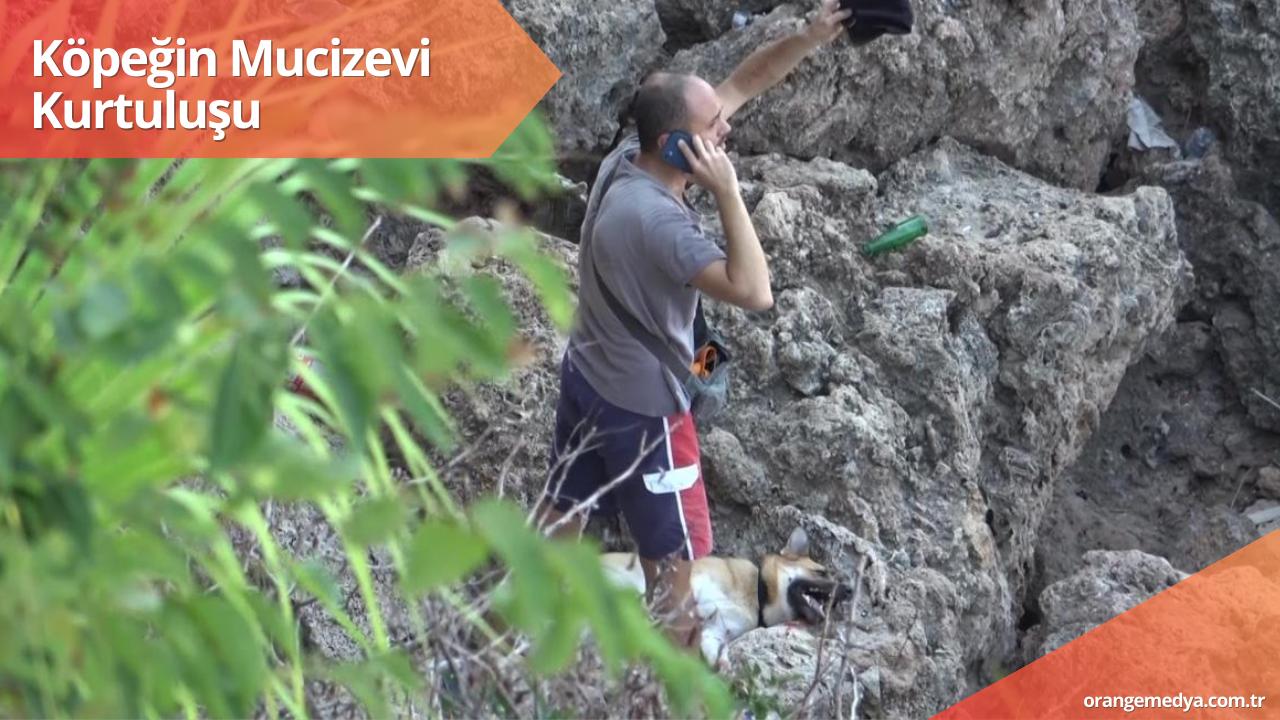 Köpeğin Mucizevi Kurtuluşu 