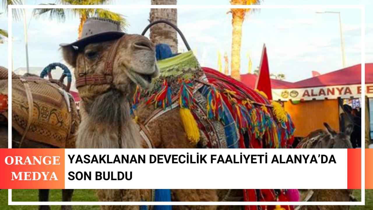 Yasaklanan Devecilik Faaliyeti Alanya’da Son Buldu