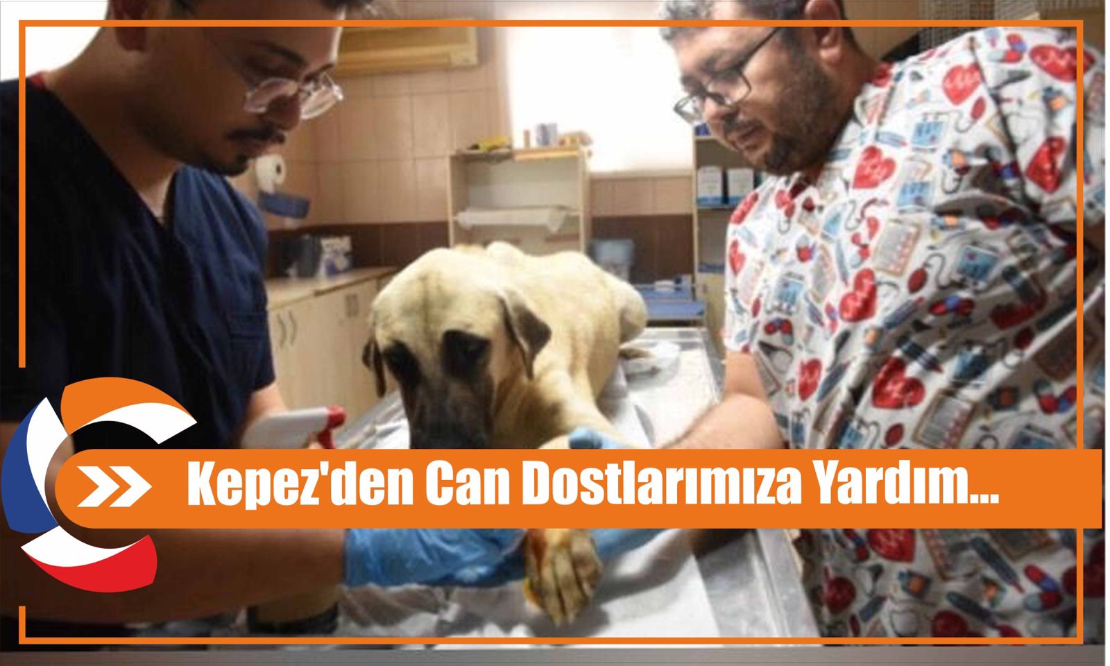 Kepez'den Can Dostlarımıza Yardım...