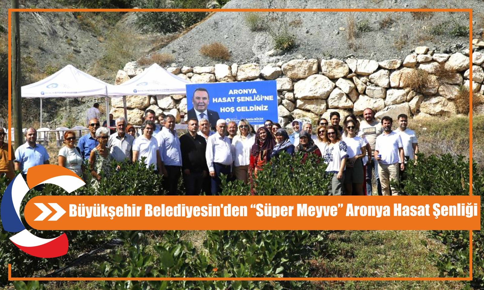  Büyükşehir Belediyesin'den “Süper Meyve” Aronya Hasat Şenliği 