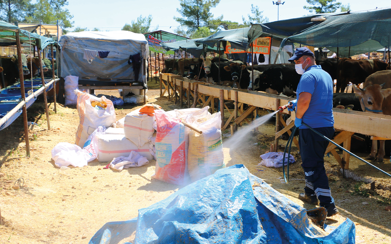 Antalya Büyükşehir Belediyesi 19 İlçede Kurban Pazar Yerlerini İlaçlıyor 