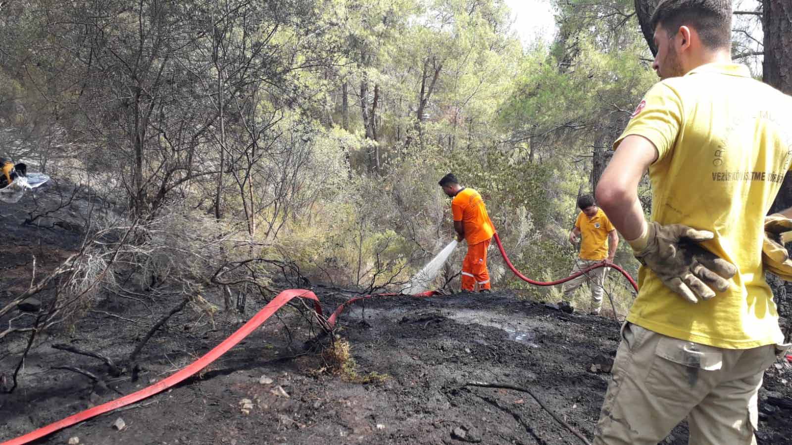 Antalyanın Kemer ilçesinde  çıkan orman yangını kontrol altına alındı