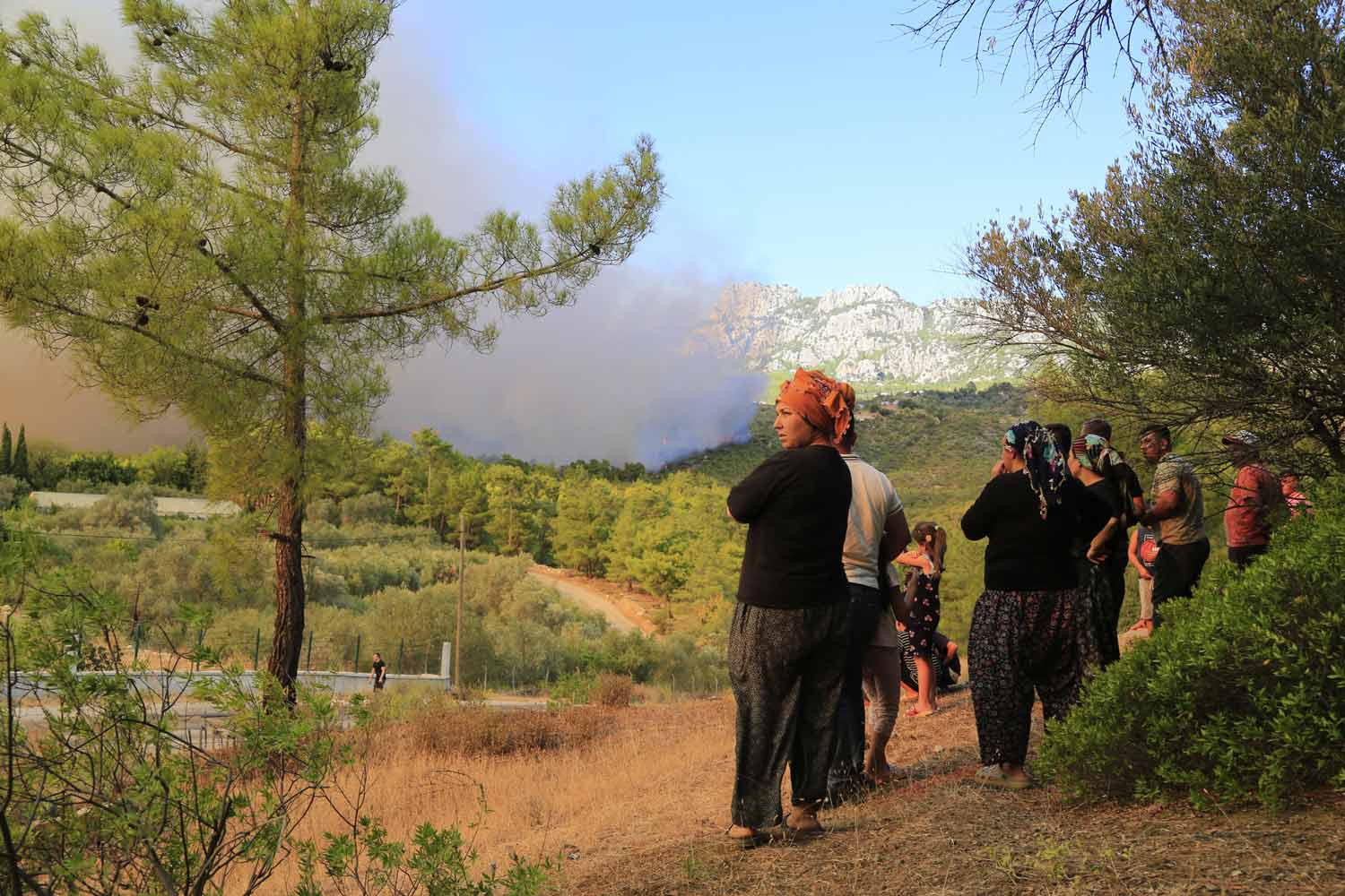 Antalya'da orman yangınına havadan ve karadan müdahale