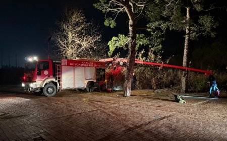 Bataklıkta 4 saat mahsur kalan kadın vinçle kurtarıldı.