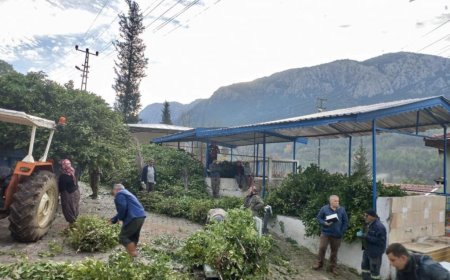 Antalya'dan tüm dünyaya ihraç ediliyor