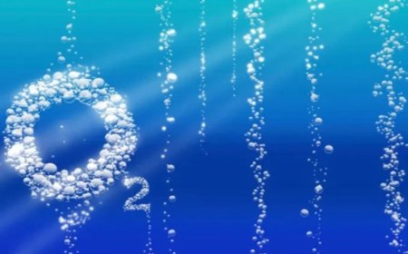 Vücuttaki oksijen miktarı nasıl artırılır.