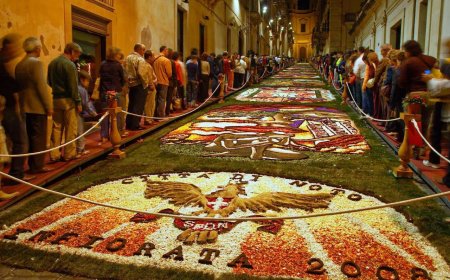 ANTALYA'da Muratpaşa Belediyesi'nin bu yıl ilk kez düzenlediği Antalya Çiçek Desenleri Günleri kapsamında yarışacak liseler açıklandı.
