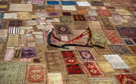 19. FIAP Dünya Kupası'nda Antalyalı fotoğrafçılar büyük bir başarıya imza attı.