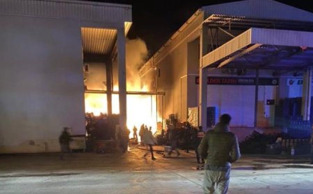 Antalya'nın Finike ilçesinde toptancı halinde çıkan yangın paniğe neden oldu.