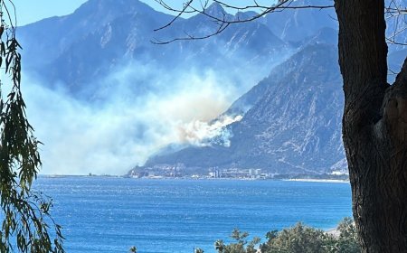 Antalya'nın Konyaaltı ilçesinde orman yangını çıktı.