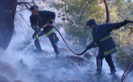 Büyükşehir itfaiyesinden orman yangınına müdahale