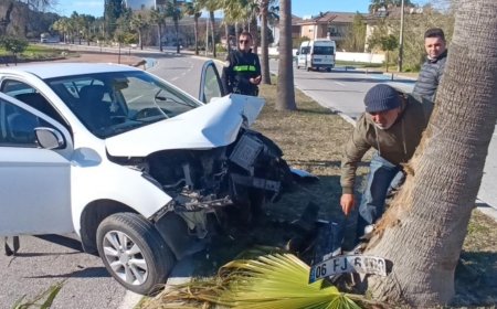Manavgat’ta sürücüsünün direksiyon hakimiyetini kaybetmesi sonucu palmiyeye çarpan otomobilde bulunan yolcu yaralandı.