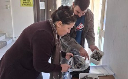 Balon balığıyla mücadele kapsamında balıkçılara bilgilendirme yapıldı