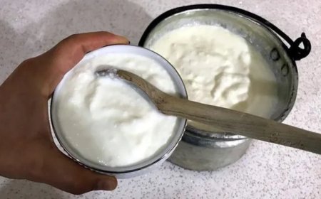 Düzenli yoğurt tüketmek bağırsak kanseri riskini azaltıyor.