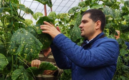 Antalya’nın Gazipaşa İlçe Tarım ve Orman Müdürlüğü, çiftçilere biyolojik mücadele yöntemleri hakkında bilgilendirme yaptı.