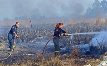Bataklıktaki sazlıklar çıra gibi yandı, alevli dumanlar gökyüzünü kapladı
