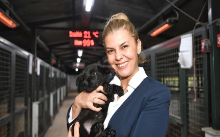 Konyaaltı Belediyesinden minik patilere sıcak yuva.