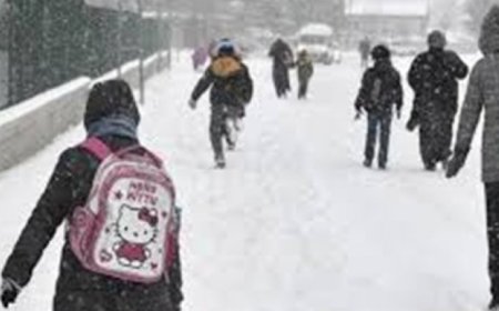 Yoğun kar yağışı eğitime ara verdiriyor: 29 ilde kar engeli