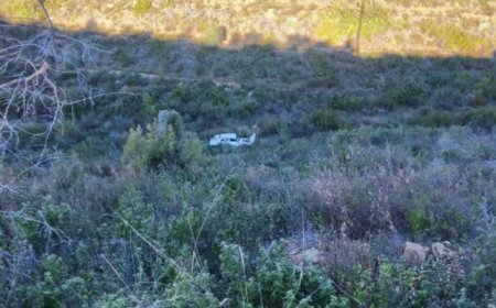 Antalya'nın Manavgat ilçesinde kontrolden çıkarak şarampole yuvarlanan otomobil sürücüsü yaralandı.