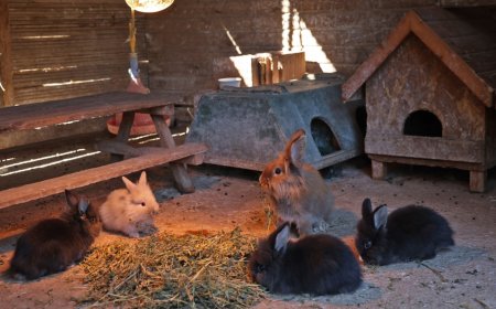 Antalya Doğal Yaşam Parkı'nda soğuk hava önlemi