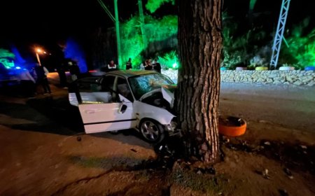 Antalya'nın Alanya ilçesinde virajda sürücüsünün hakimiyetini kaybettiği otomobil, yol kenarında bulunan ağaca çarparak durabildi.