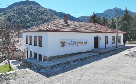 Antalya Büyükşehir Belediyesi’nin arı ve bal üreticilerine desteği sürüyor