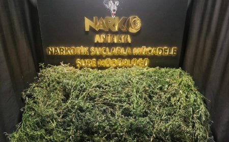 Antalya'da son bir haftada düzenlenen narkotik operasyonlarında 37 şüpheli yakalanırken, 23'ü tutuklandı.