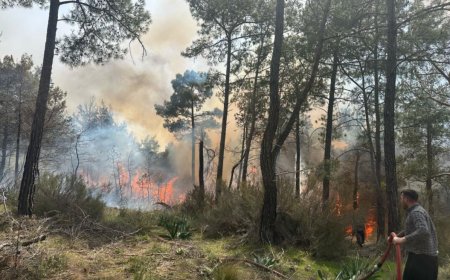 Antalya’nın Kemer ilçesinde henüz bilinmeyen bir nedenle orman yangını çıktı.