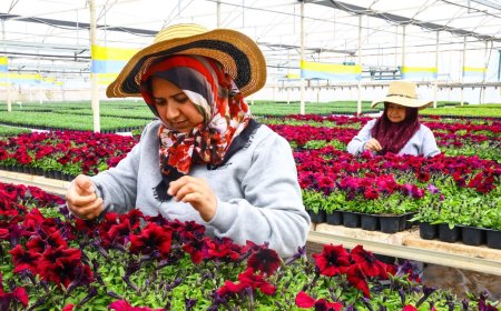 Antalya’nın caddeleri baharda rengârenk olacak