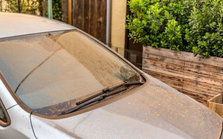 Sıcaklıklar artıyor: Yurt çöl tozu etkisinde