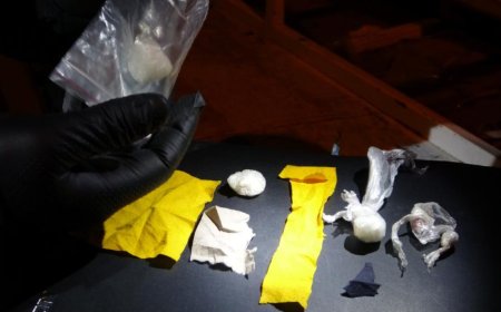 Polisin 'Dur' ihtarına uymayıp kaçan araçtan uyuşturucu çıktı