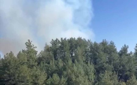 Orman Yangını Büyümeden Kontrol Altına Alındı, Tehlike Sona Erdi