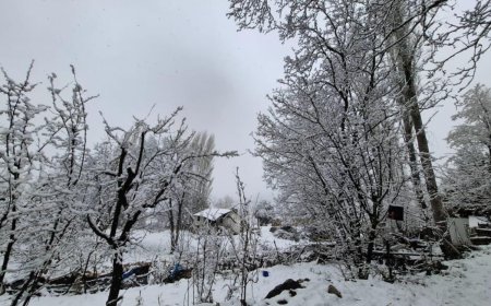 Antalya'nın Kaş ilçesinin yayla mahallelerinde kar yağışı başladı.