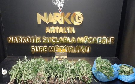 Antalya'da, son 1 haftada narkotik suçlara yönelik operasyonlarda toplam 26 kişi tutuklandı.