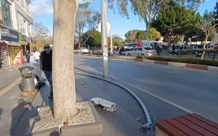 Manavgat'ta bayraklar aydınlatma direğini devirdi, araçlar zarar gördü